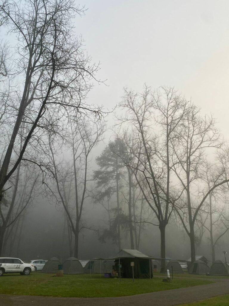 WhatsApp Image 2022-10-25 at 1.24.23 PM (2)