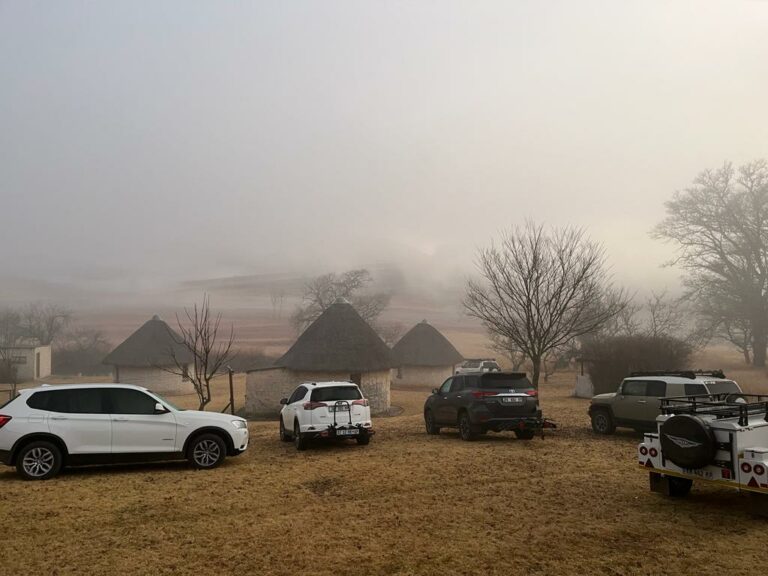 Cold mornings